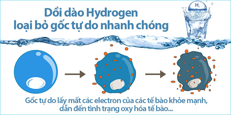 Phân tử H2 có thể chống lại các gốc tự do