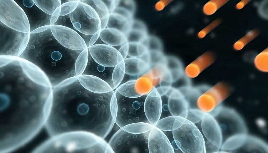 Gốc Tự Do - “Kẻ giấu mặt” cản trở việc chống lão hóa cho da | Mediworld