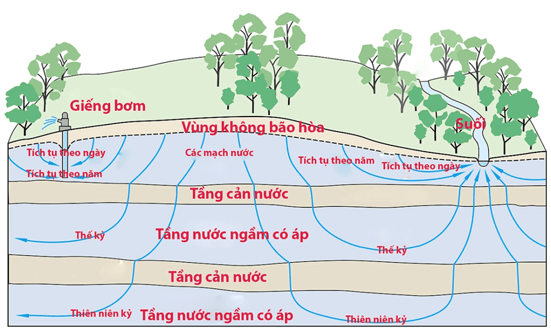 Nước ngầm là gì? Có vai trò như thế nào? 4 nước ngầm là gì